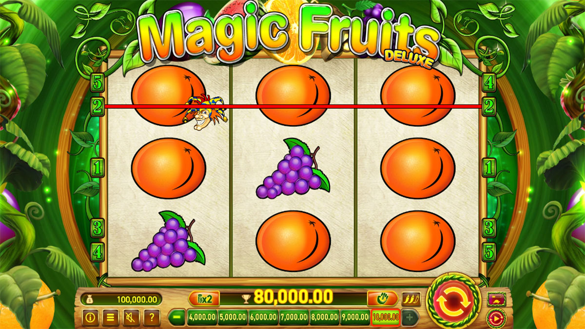  Magic Fruits